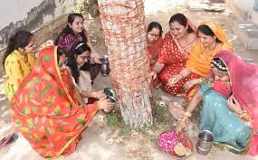 असली शमी वृक्ष की सम्पूर्ण जानकारी