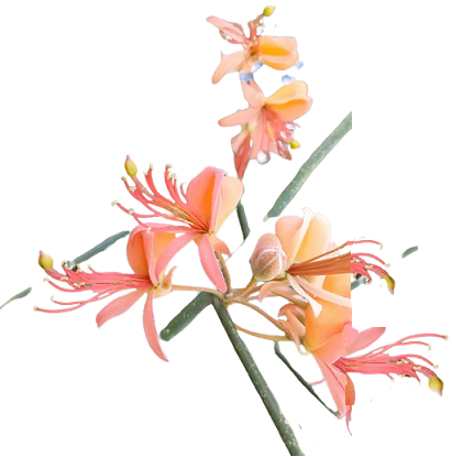 टिंट का पेड़