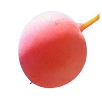 कैर ( टिंट) की खेती